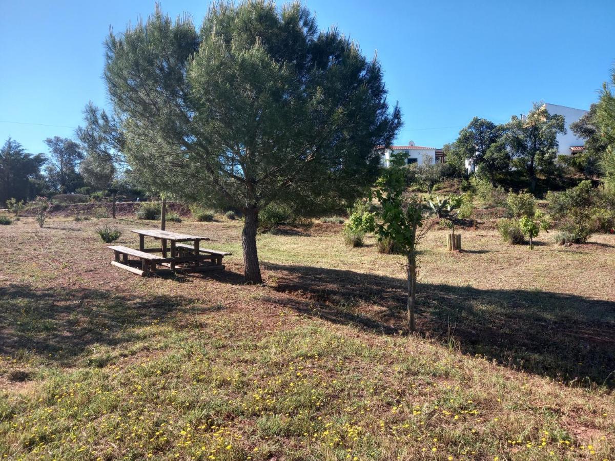 Gospodarstwo wiejskie Alagoas Park